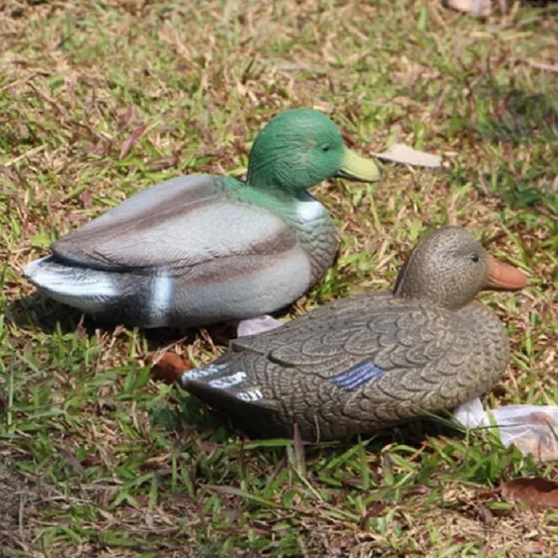 Cible de chasse canard 3D flottante 40cm EVA pour entraînement tir à l'arc et pêche