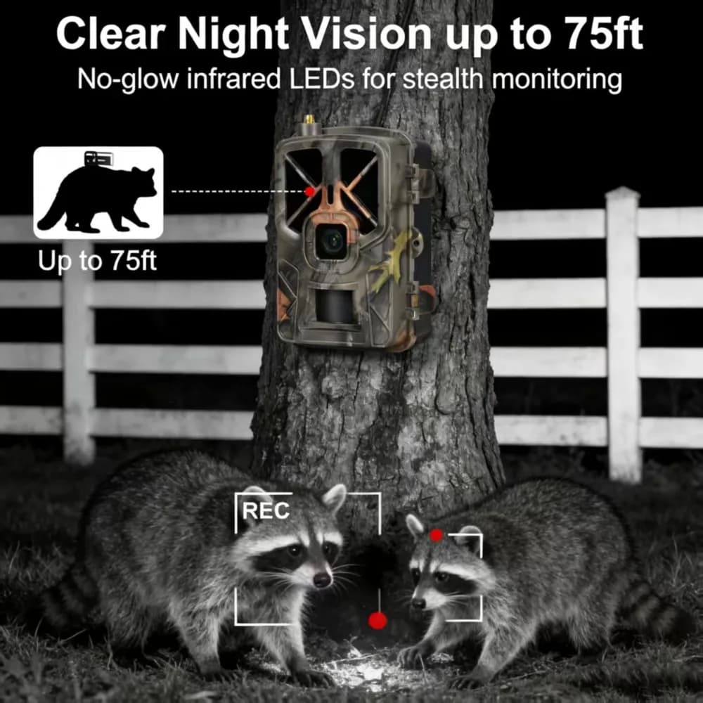 Caméra 4G 30MP 2K live étanche IP66 détection mouvement vision nocturne pour pêche chasse