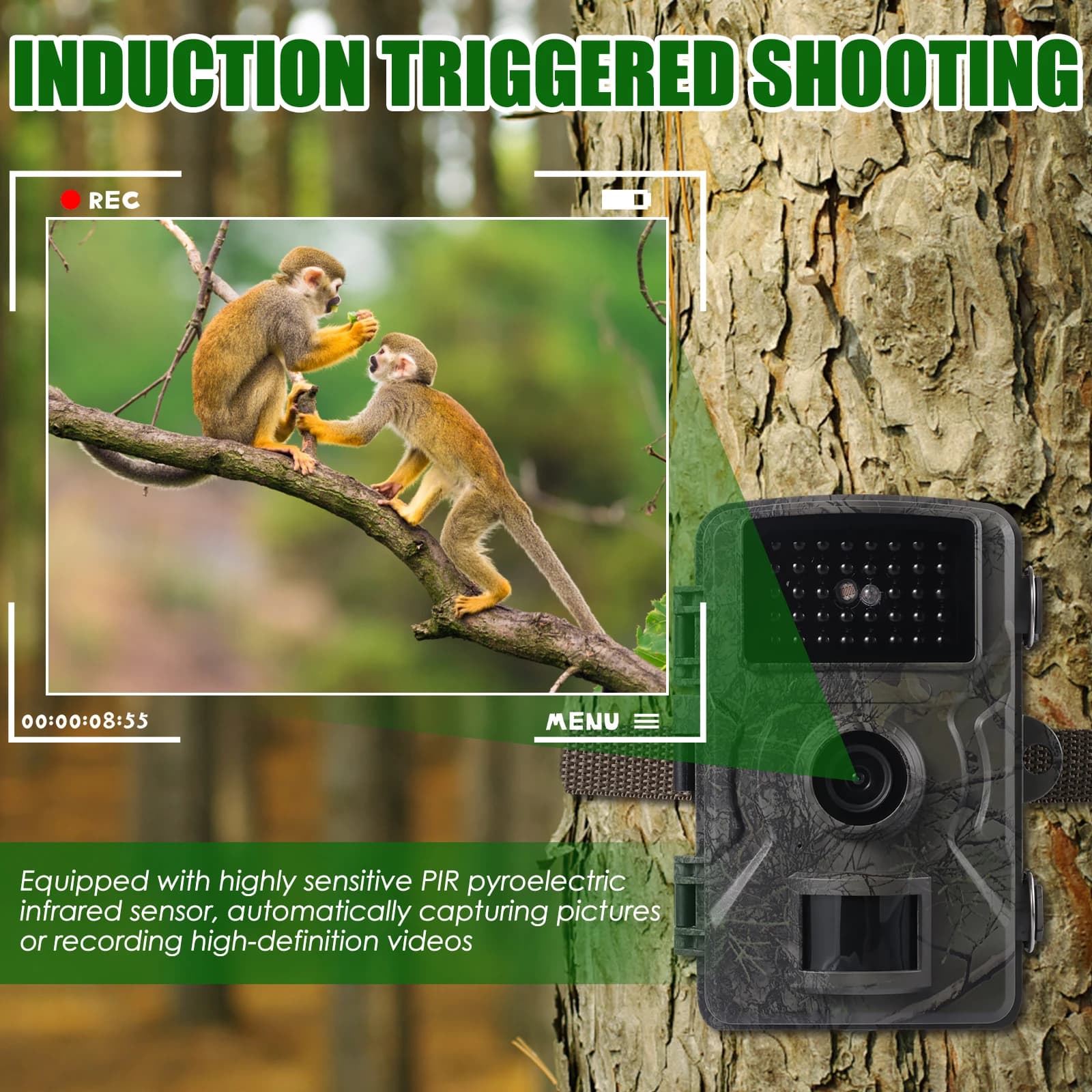 Caméra trail capteur infrarouge IP66 étanche 90 degrés avec vision nocturne pour surveillance faune extérieure