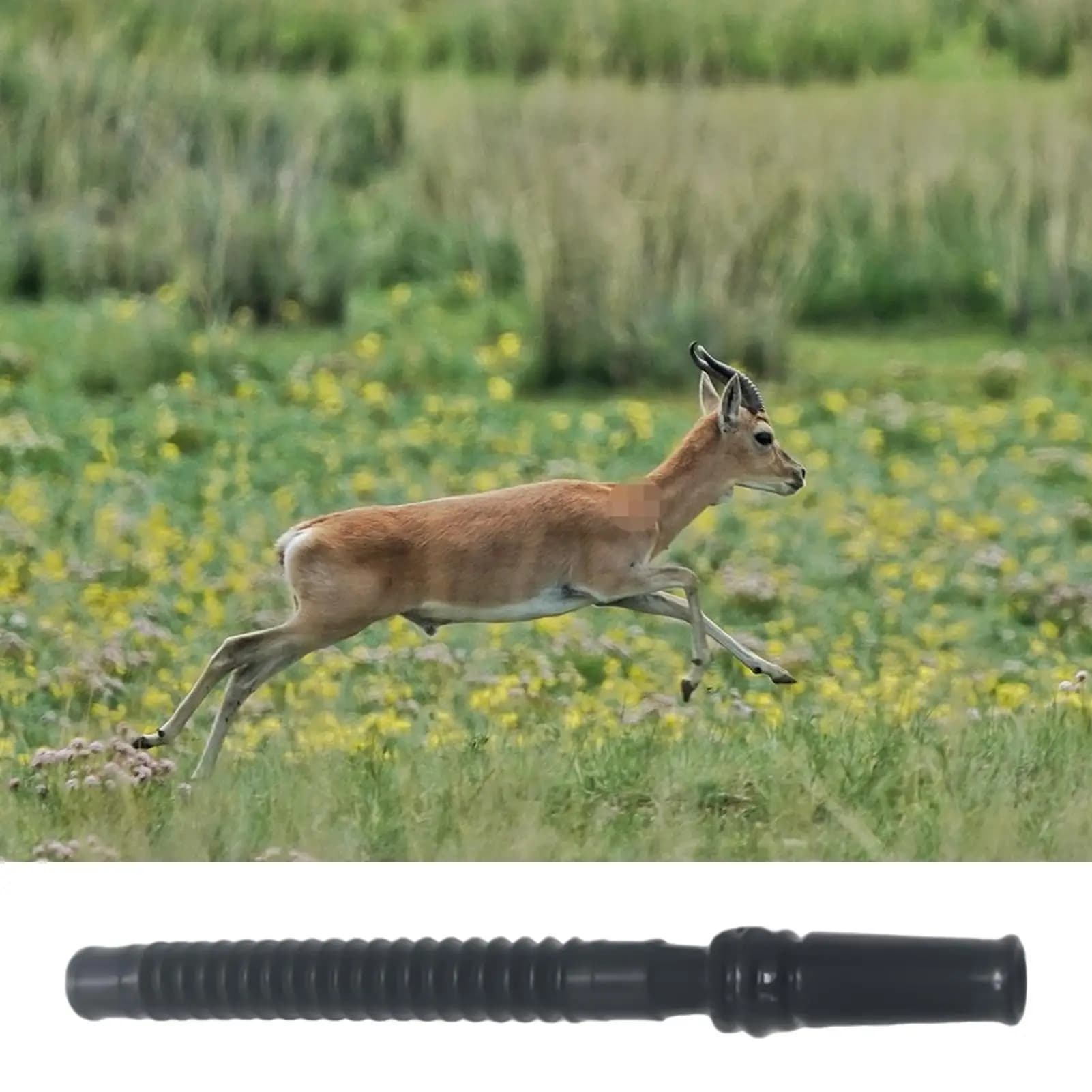 Équipement de chasse appel cerf portable - leurre aux sons réalistes jeunes et adultes