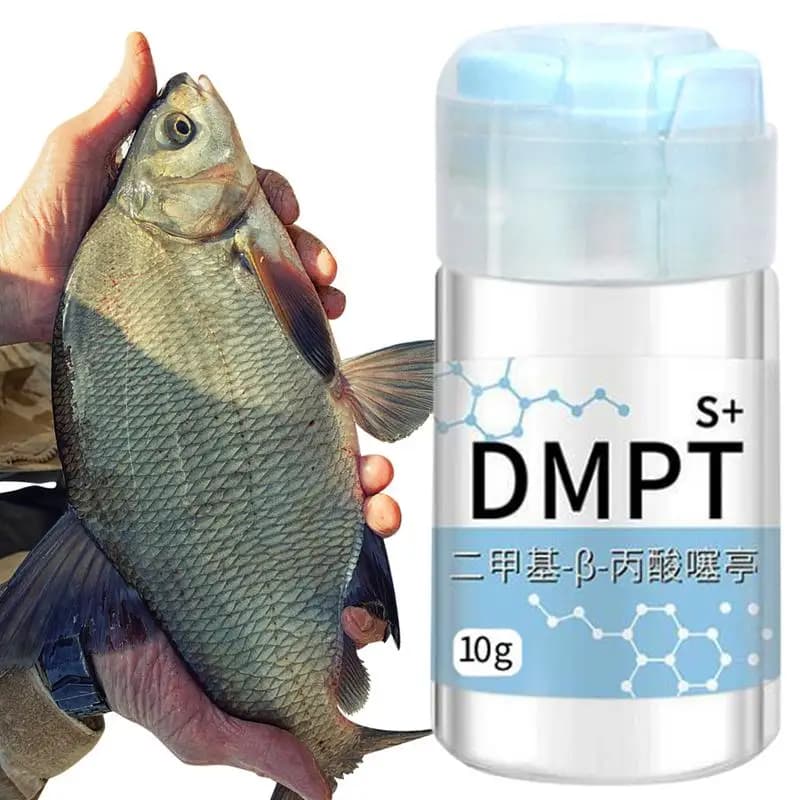 Gel attractant poissons 10g senteur puissante soluble naturel pour crevette carpe tilapia