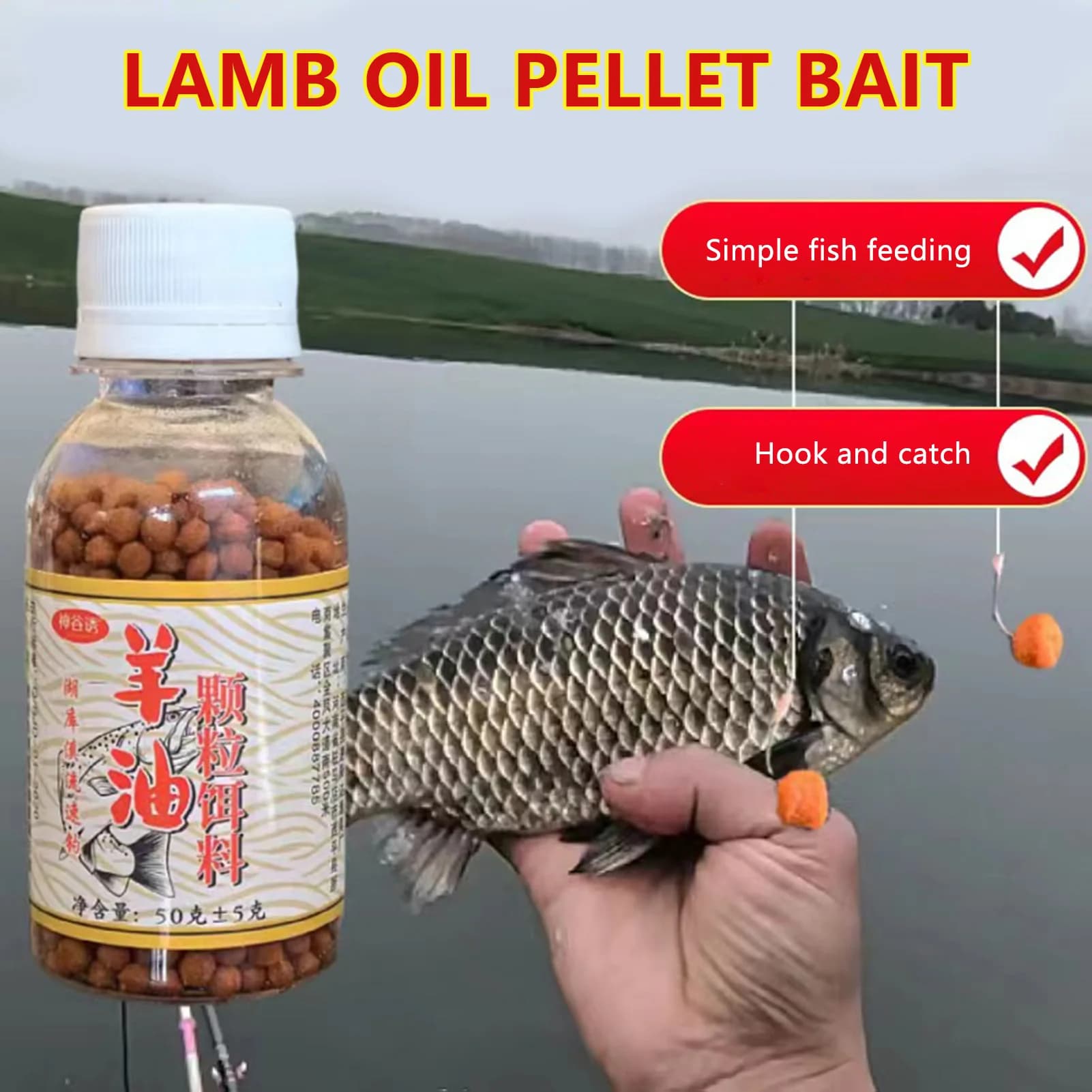 Appât concentré pellets fort attractant portable pour carpe carassin tilapia pêche