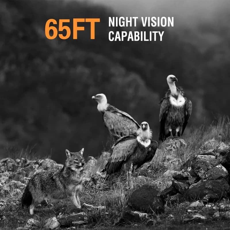 Caméra de chasse solaire 4K 50MP grand angle 120° vision nocturne étanche surveillance faune