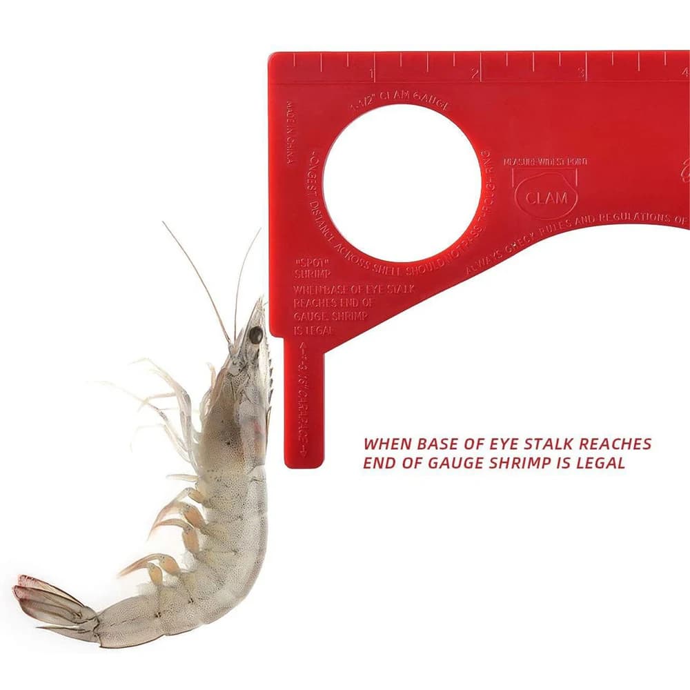 Jauge à crabes et crevettes mesure précise pour pêche équipement sportif durable