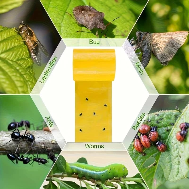 Ruban adhésif double face jaune anti-insectes 5m pour protéger équipement pêche et camping des nuisibles