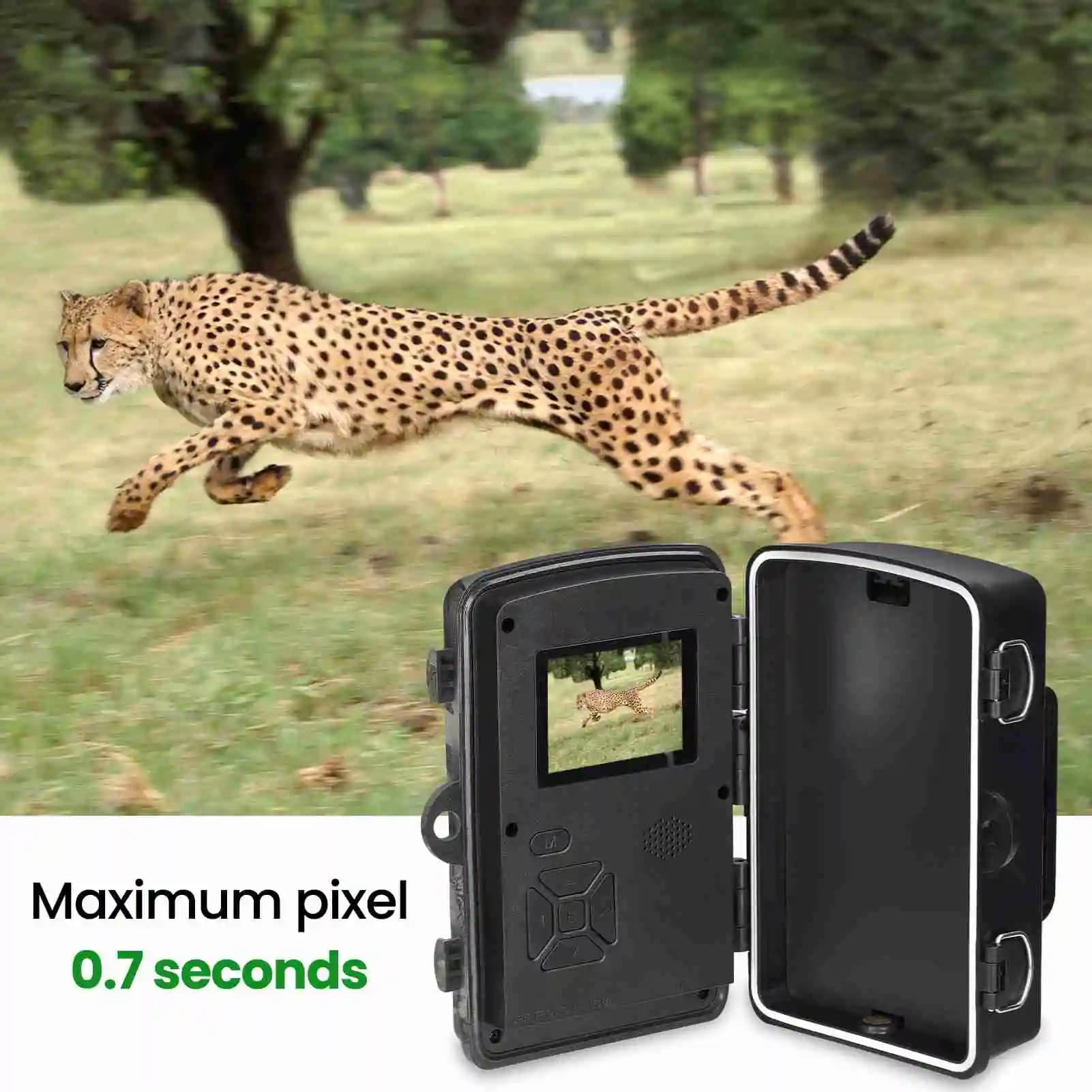Caméra de surveillance IP66 étanche 1080P HD pour observation extérieure de ferme et terrain