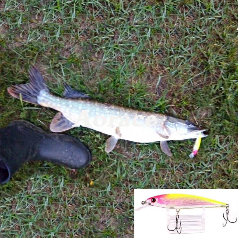 Leurre de pêche dur japonais 11cm 13g appât artificiel crankbait leurre laser minnow pour carnassiers