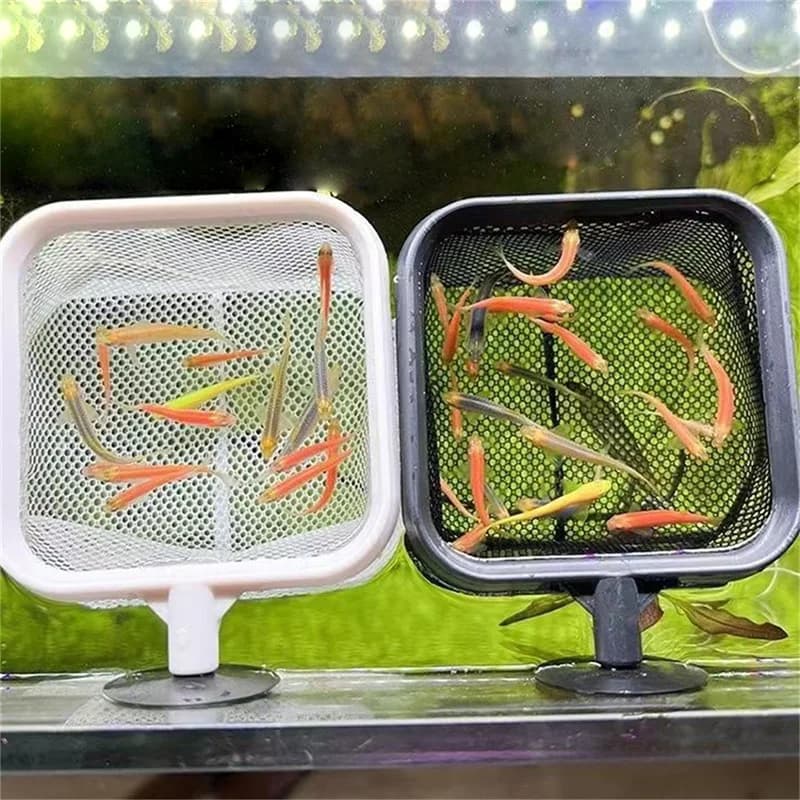 Filet de pêche à crevettes rétractable en acier inoxydable pour aquarium et nettoyage d'aquarium