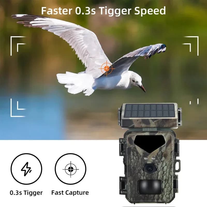 Caméra de traque solaire Mini700 20MP 1080P étanche IP66 - Alimentation solaire pour chasse et sécurité extérieure