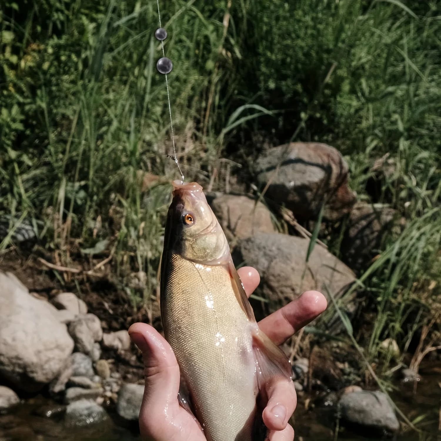 Plombs de pêche plombées amovibles TAKBAS 7g 5g 4g 3g 2g 1g pour pêche précise