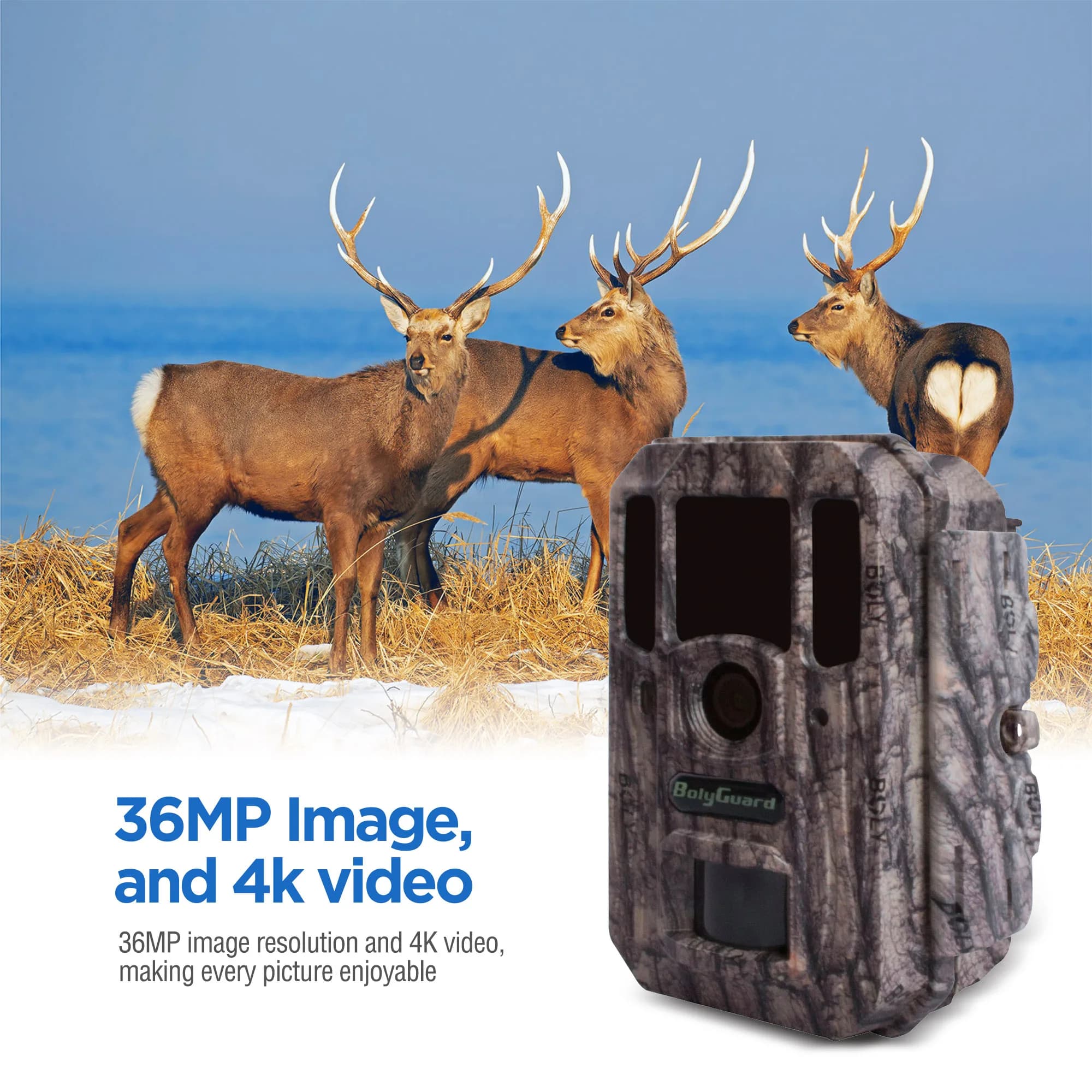 Caméra de chasse BolyGuard 4K/36MP Pro 940nm vision nocturne invisible angle large 110° IP68 étanche BG662-W4K