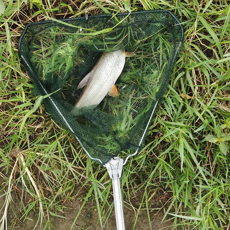 Filet de pêche télescopique aluminium 190 cm pliable pour carpe et pêche à la mouche en mer
