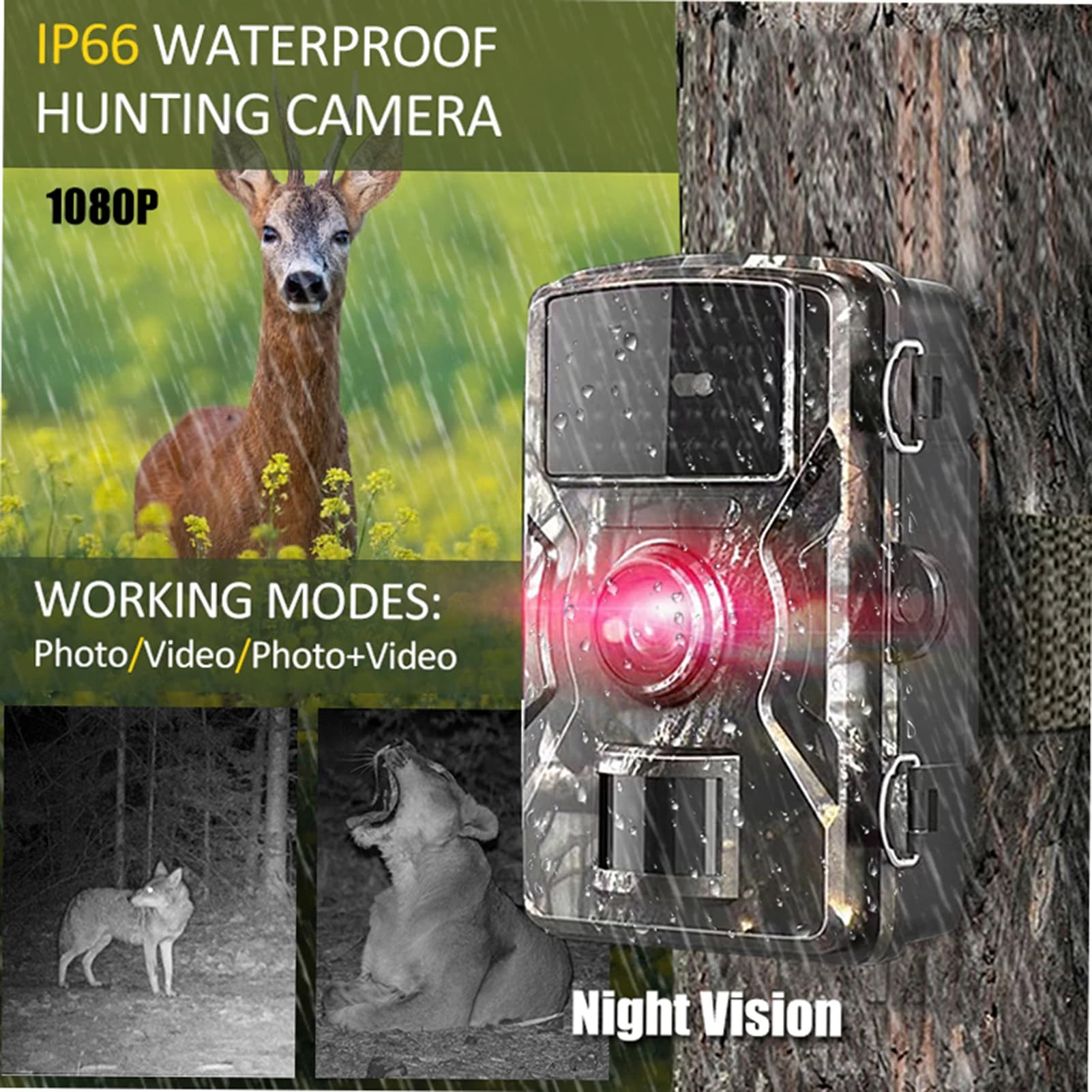 Caméra de chasse Wildlife 16MP 1080P infrarouge étanche IP66 pour observation nocturne des animaux
