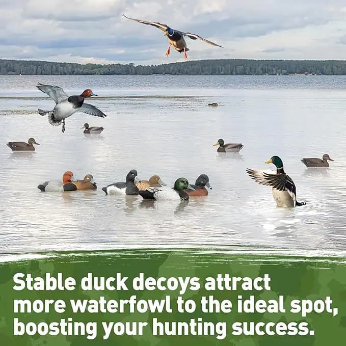 Ancres leurres gibier d'eau anti-rouille - système étalement naturel mouvement chasse canard