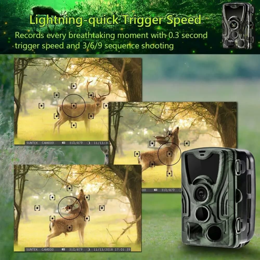 Caméra de chasse HC801A vision nocturne infrarouge détection mouvement pour observation faune extérieure