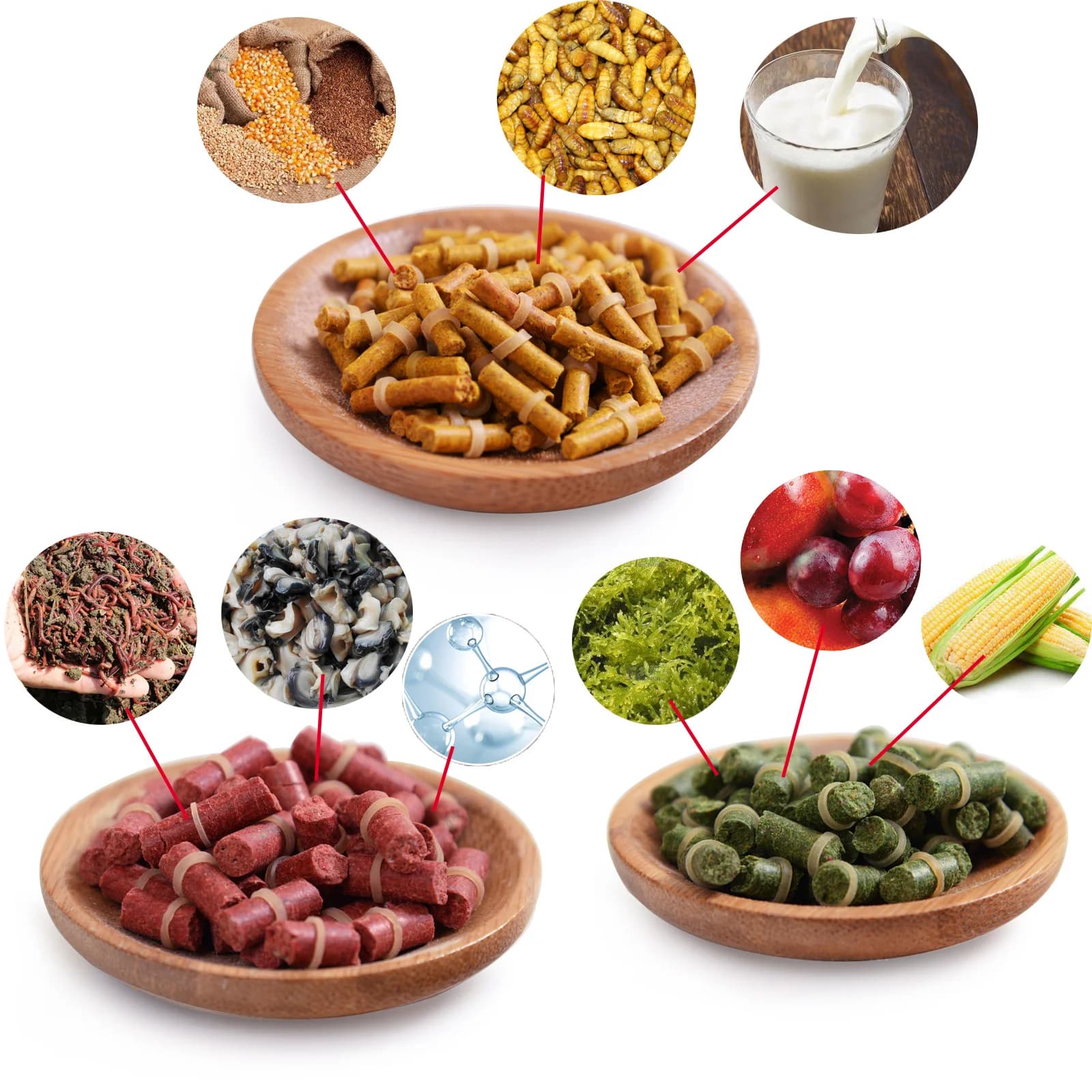 50 pièces appâts granulés pour carpe herbivore - Formule creuse insecte parfum crème truite