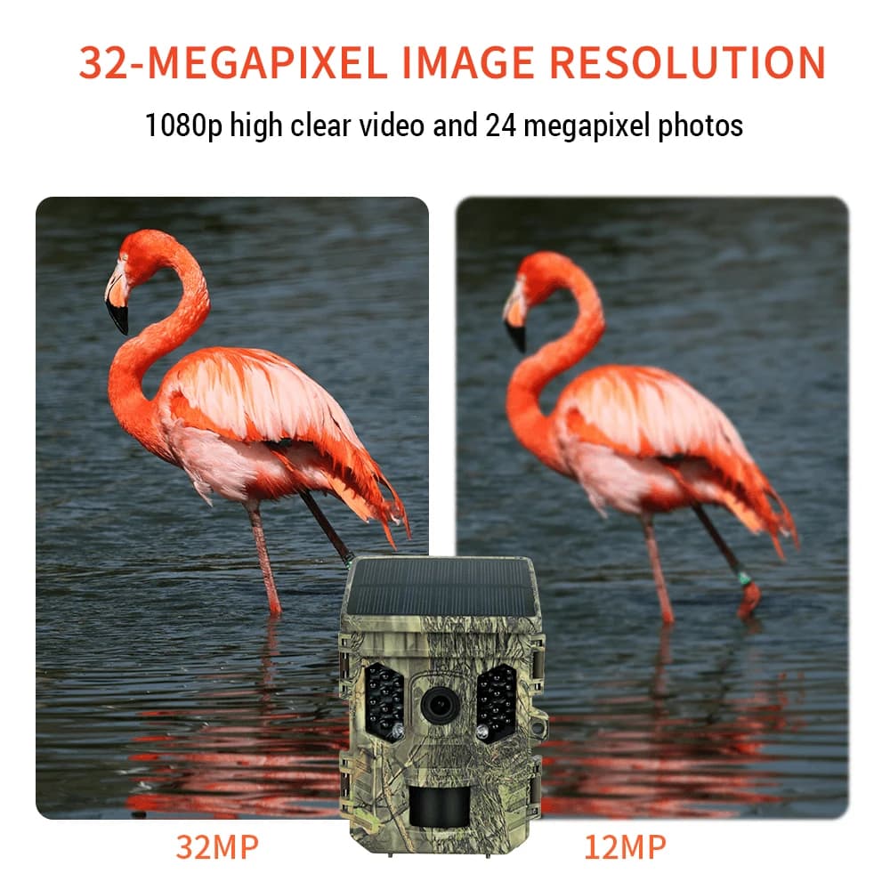 Caméra faune solaire 4K 1080P vision nocturne étanche Bluetooth WiFi app pour chasse connectée 16MP