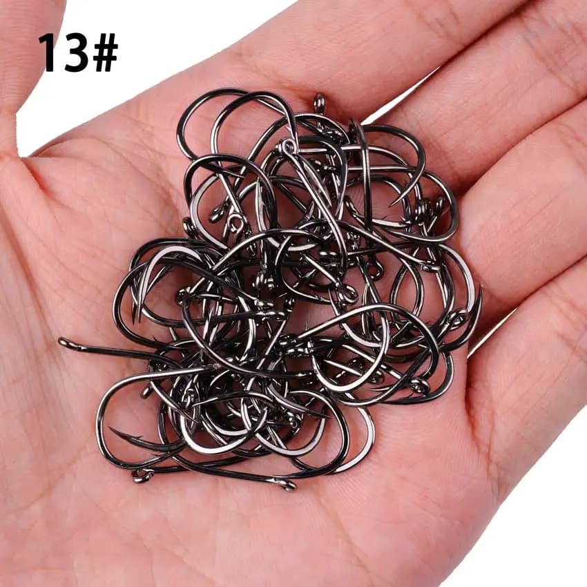 Hameçons de pêche Iseama Aorace 100 pièces, hameçon simple circle carp japonais taille 2 à 15