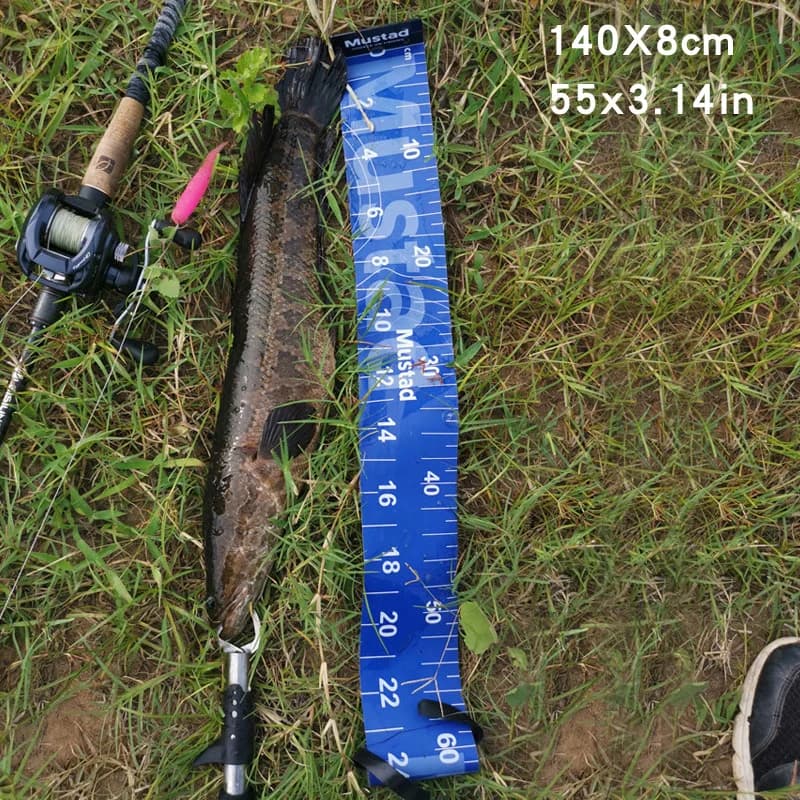 Règle de mesure poisson portable 55 pouces résistante aux plis pour perche et riz - Échelle précise