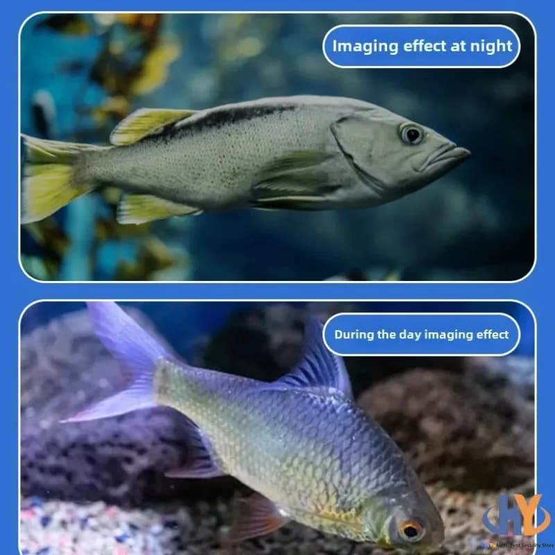 Caméra de pêche sous-marine HD 4,3 pouces - Affichage pour sondeur visuel, idéale pêche extérieure et sur glace