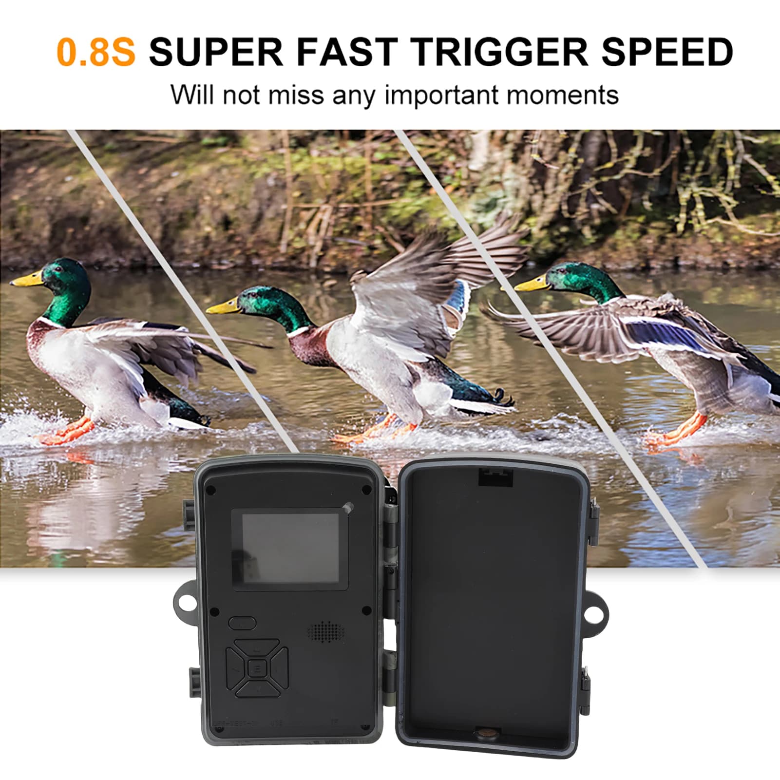 Caméra de chasse 16MP 1080P étanche IP66 - Vision nocturne IR 25m et déclenchement 0.3s CE RoHS
