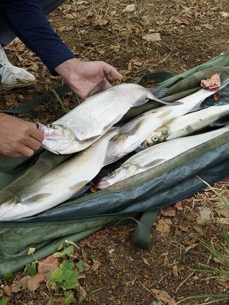 Sac de pesée pour poissons pliable - Filet de mesure pour pêche au bar et poissons carnassiers