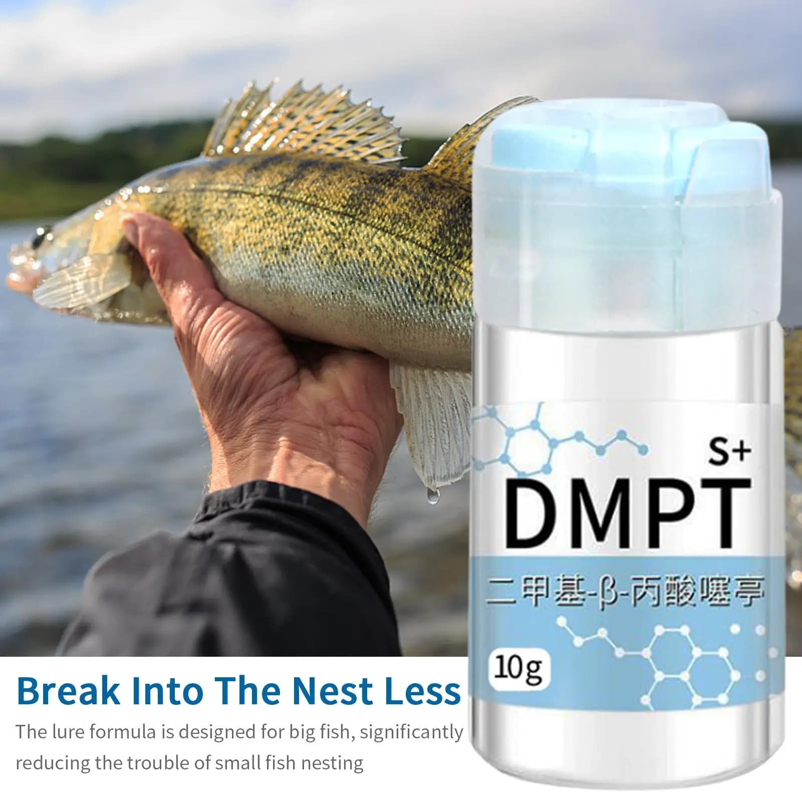Gel attractant 10g soluble dans l'eau pour pêche - Renforceur naturel appâts crevettes carpes tilapias