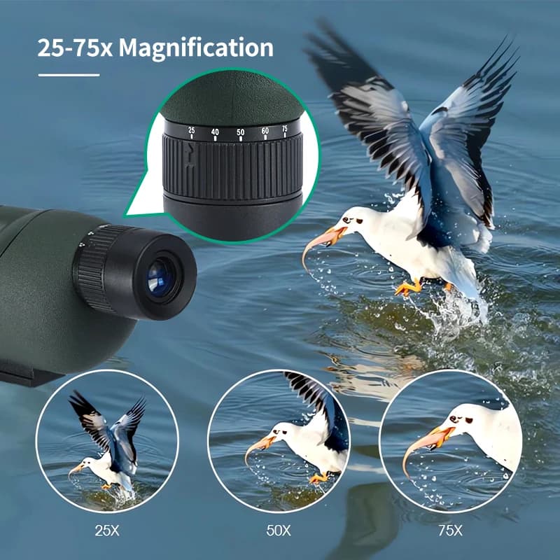 Longue-vue spotting scope 25-75x60 zoom haute puissance observation poissons pêche précise