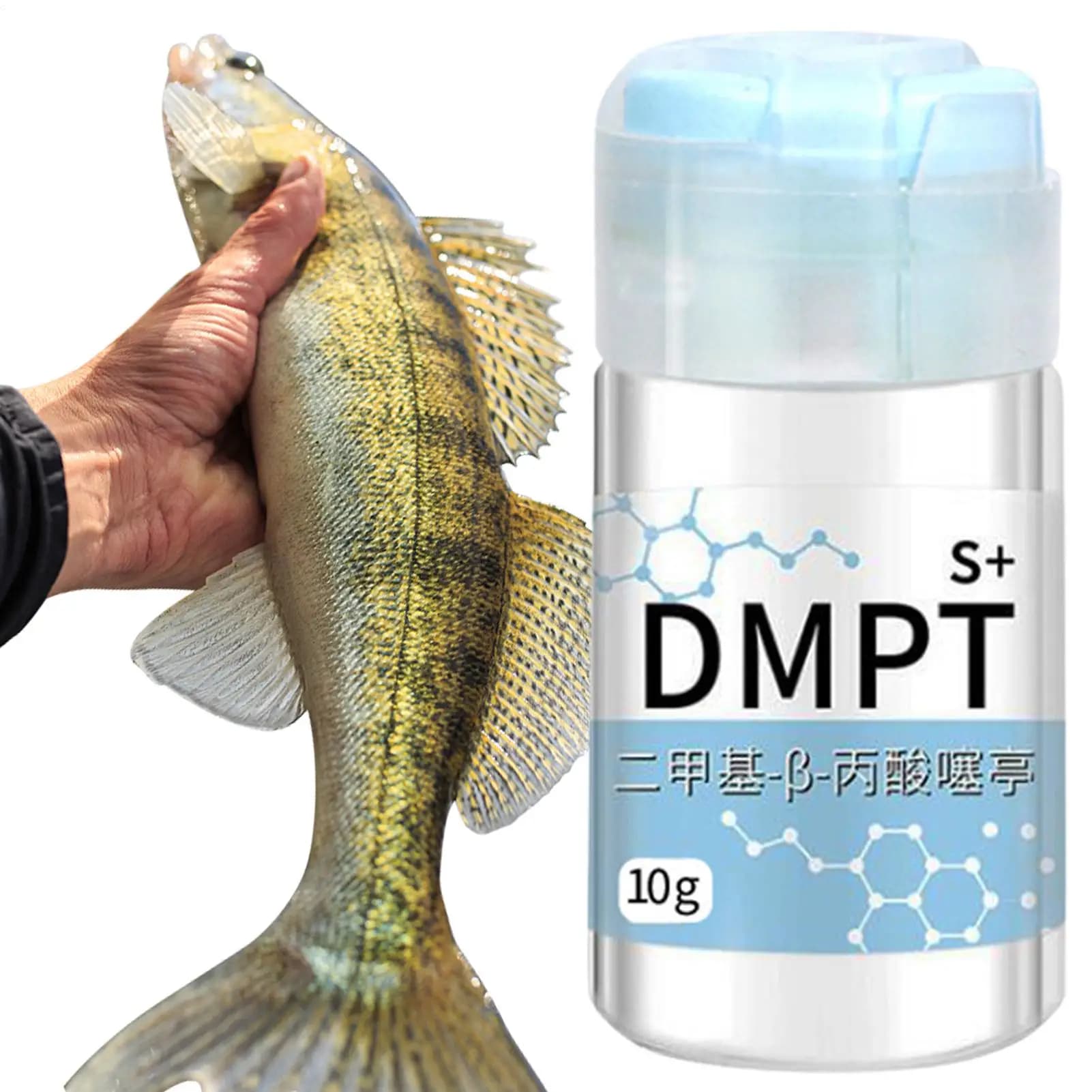 Gel attractant puissant pour appâts de pêche - Scent gel haute concentration sans danger pour poissons