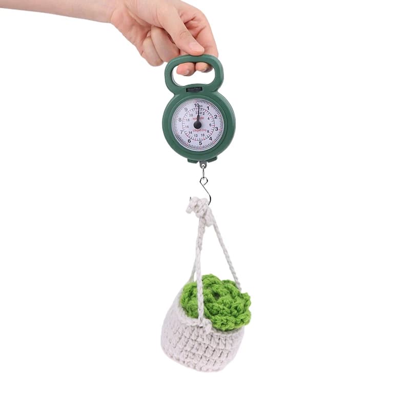 Balance digitale 10kg pour pêche et voyage - Pèse-bagages compact avec crochet à ressort précis