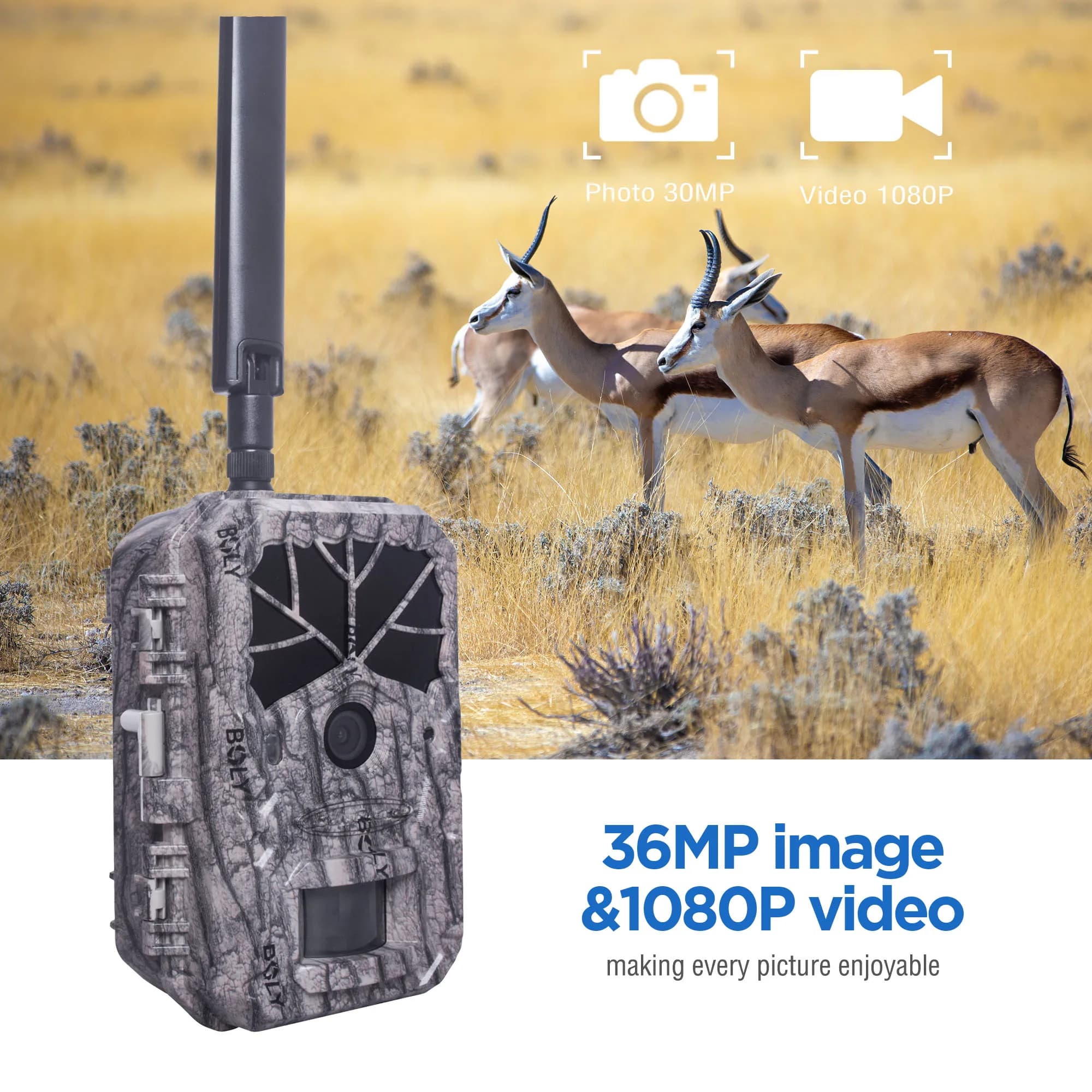Caméra trail BolyGuard BG636 4G/LTE 36MP cloud Molnus étanche IP68 pour surveillance faune connectée