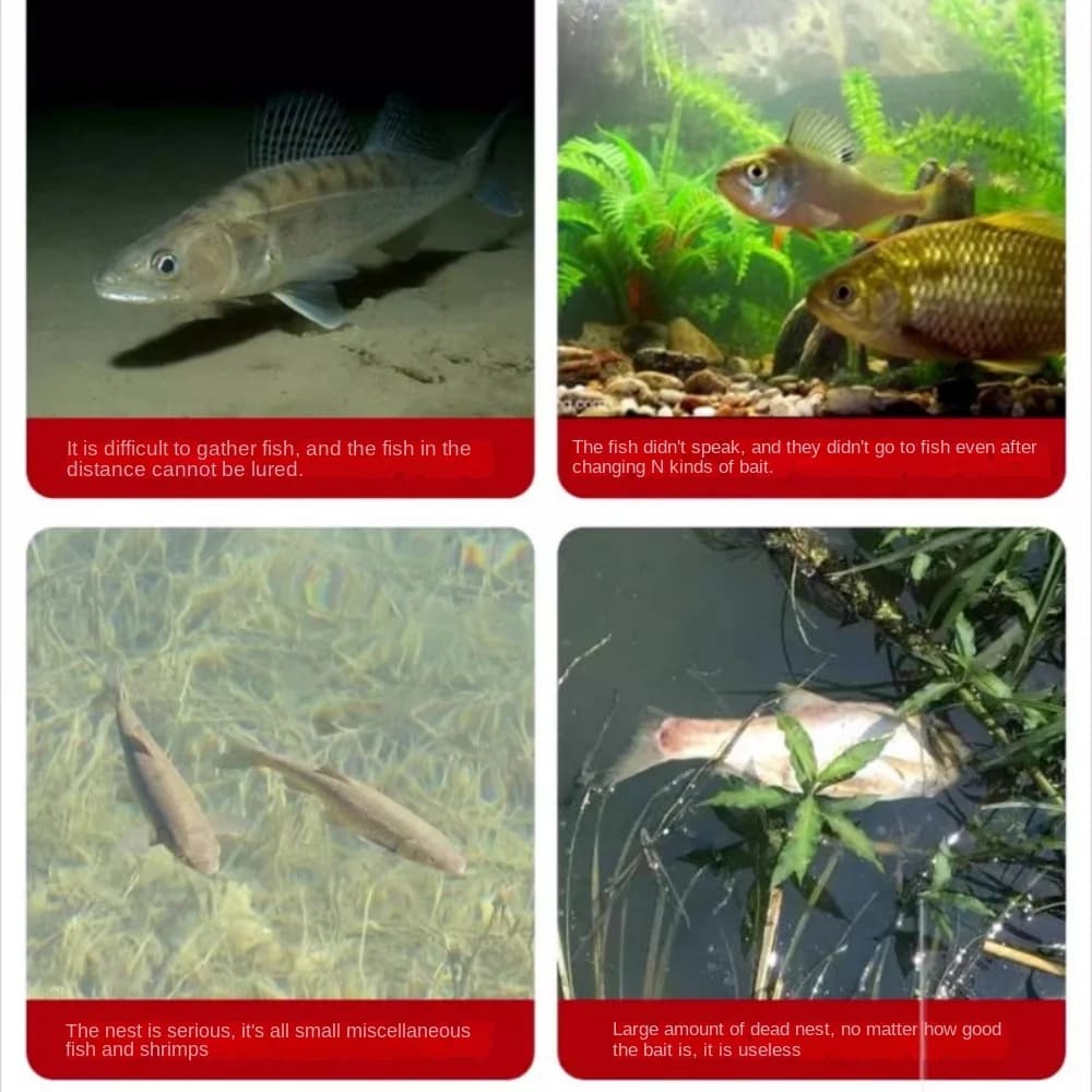 Attractant granulaire concentré pour carpe et poissons blancs - Appât pêche sauvage carassin tilapia