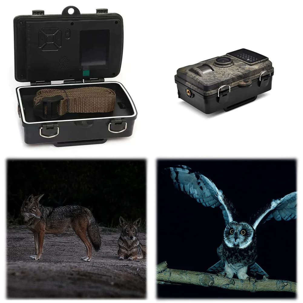 Caméra de chasse détection mouvement vision nocturne infrarouge sécurité observation animaux faune