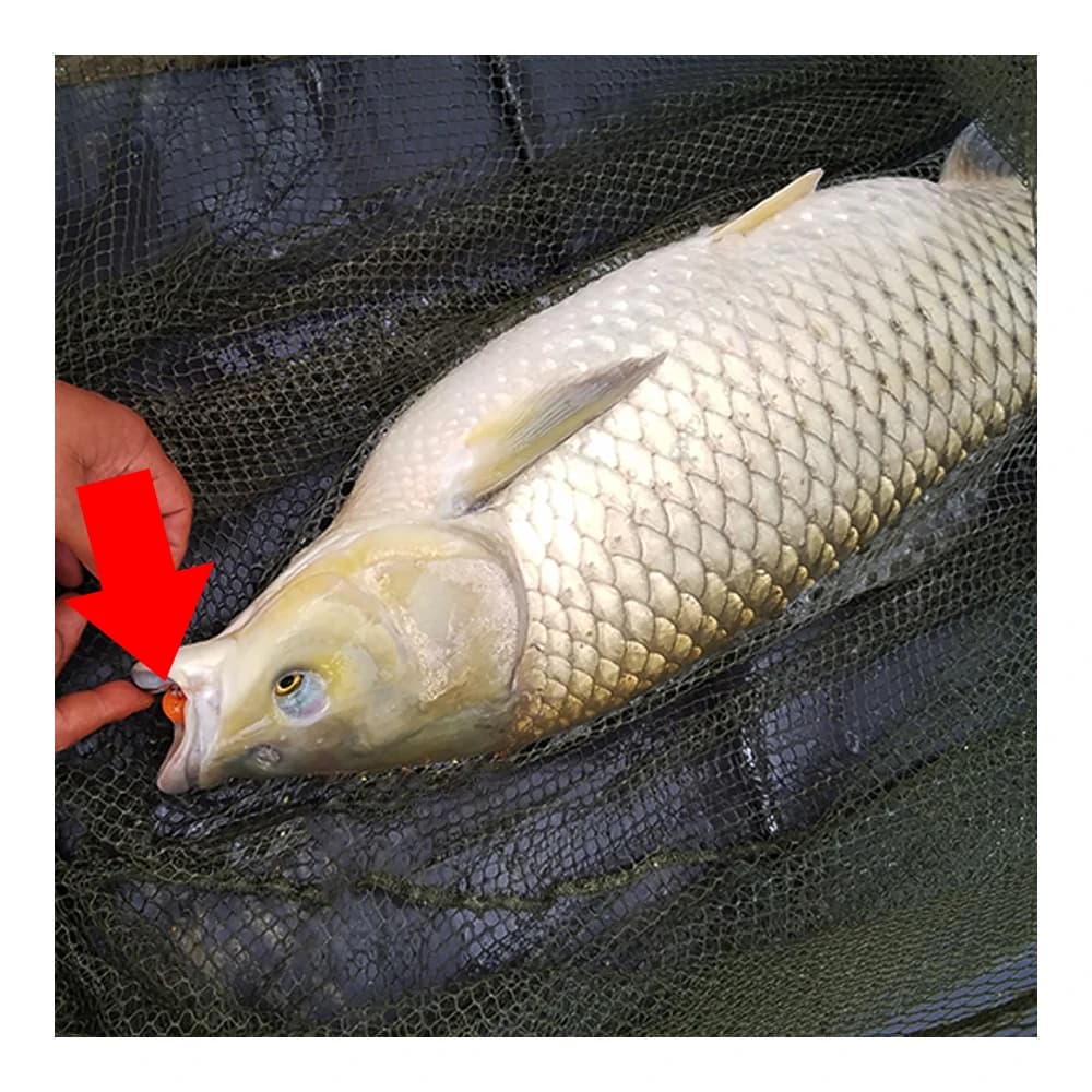 Bouillettes flottantes EVA 10 pièces multi-saveurs - Appâts pêche carpe ligne principale flottants