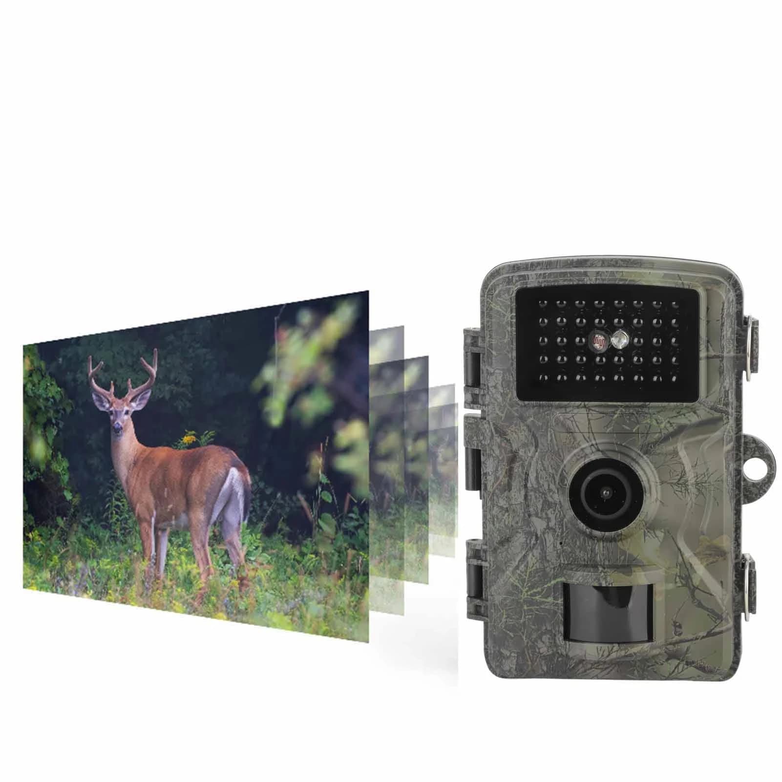 Caméra trail HD vision nocturne 2.0" écran - 1080P IP66 étanche pour chasse wildlife extérieure