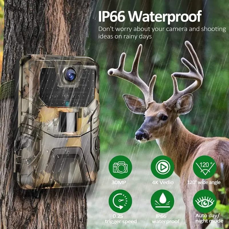 Caméra trail extérieure 36MP 2K portée 120m étanche IP66 vision nocturne sans lueur pour surveillance animalière