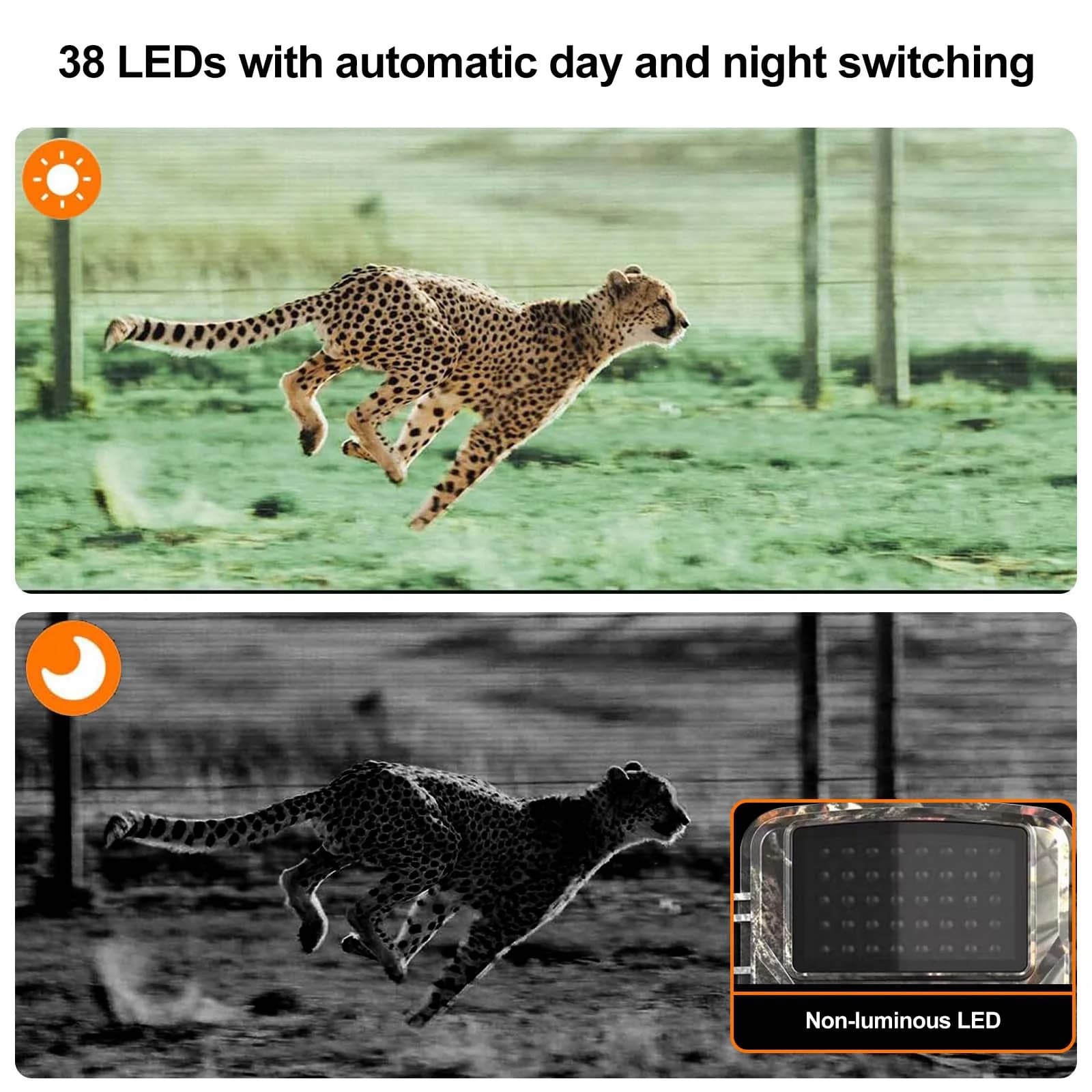 Caméra de chasse extérieure 12MP 1080P étanche IP66 vision nocturne infrarouge surveillance faune