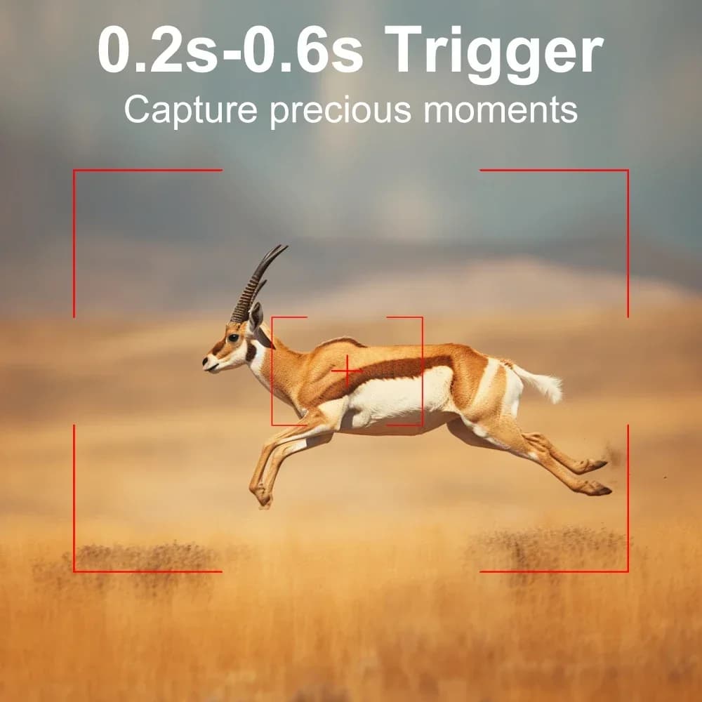 Mini caméra de chasse étanche avec vision nocturne 940nm pour monitoring faunique discret