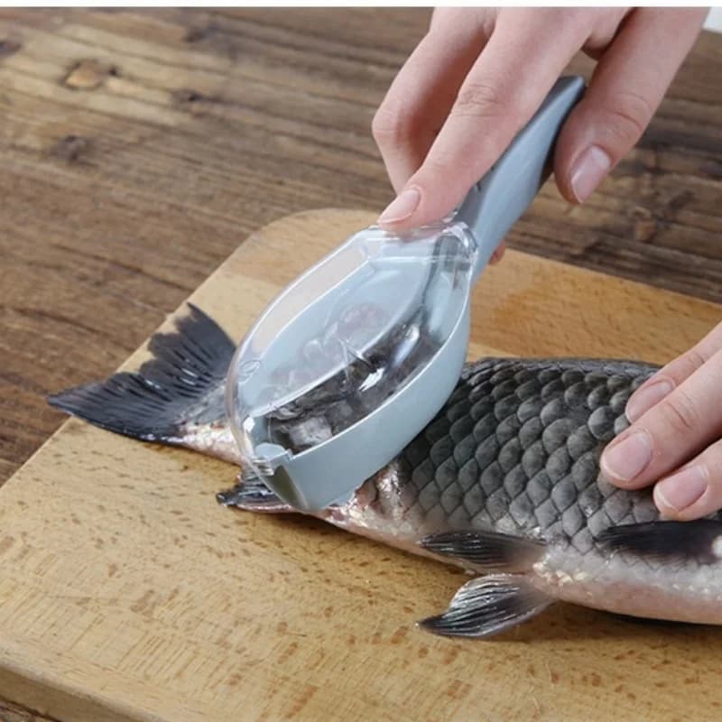 Balance ménagère cuisine grattoir écailles poisson - desquamation manuelle outils pêche