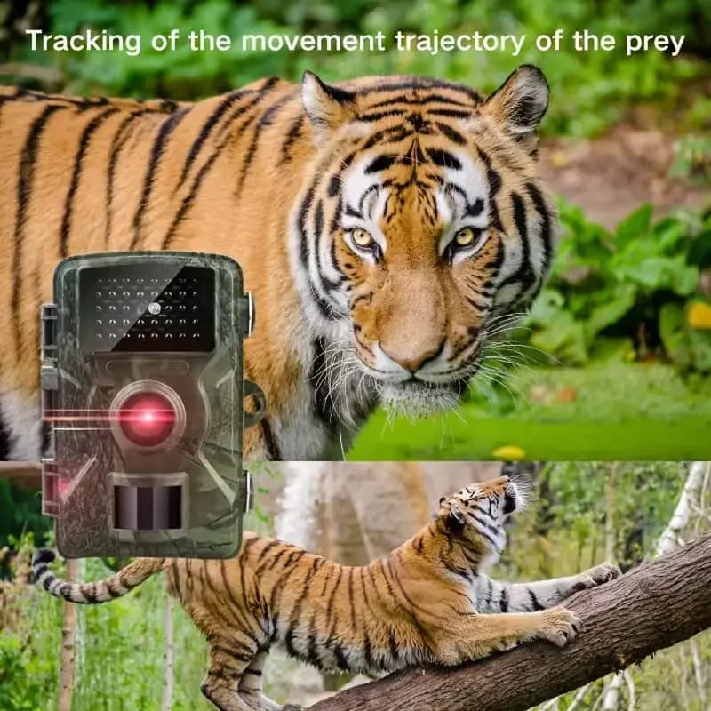 Caméra de chasse étanche infrarouge avec détection de mouvement pour piégeage photo et suivi animalier extérieur