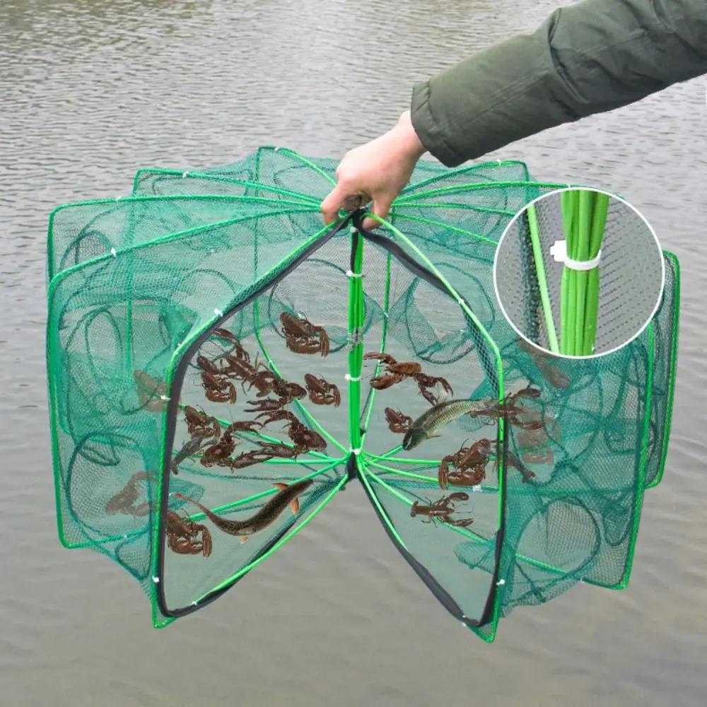 Filet de pêche pliable et durable avec 6 à 10 trous - Cage maille nylon verte