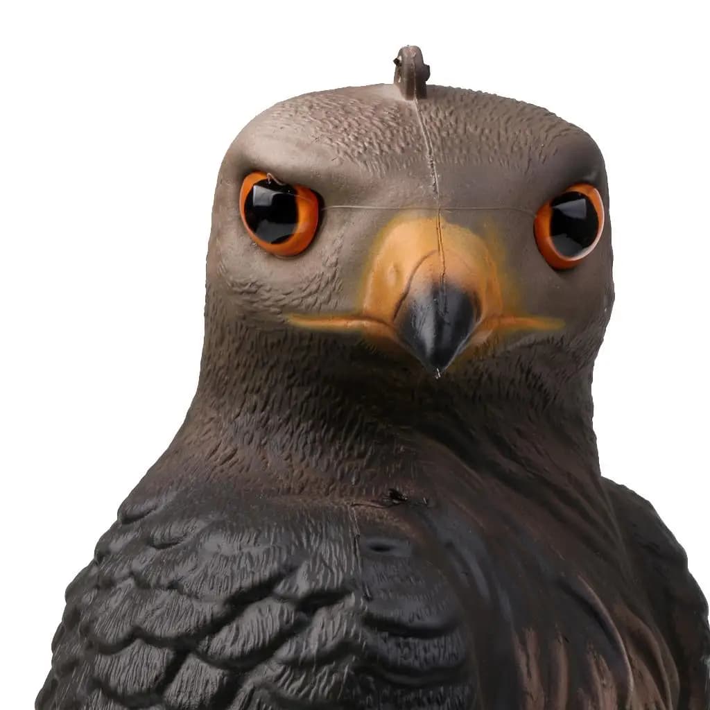 Leurre aigle faucon réaliste pour piège oiseaux et épouvantail terrasse - Déco jardin contrôle