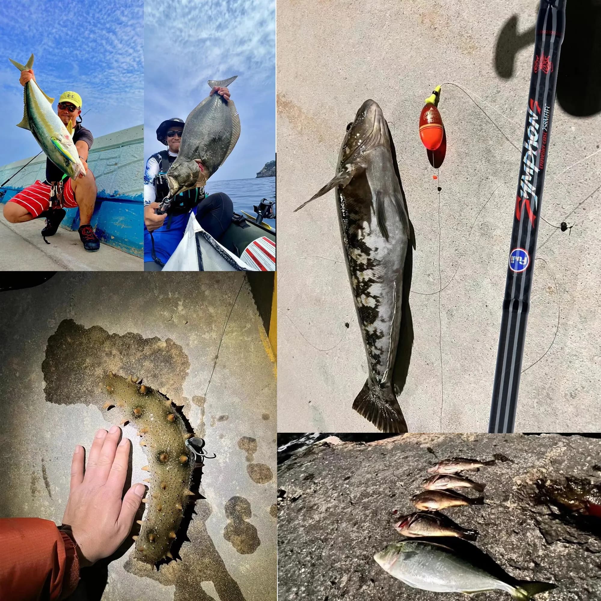 Canne BIUTIFU Traveller Spinning Casting Fuji Lure Mini Rock Fishing Rod 1.8-3.0m Carbon Baitcasting PHISHGER Fast 5-42g