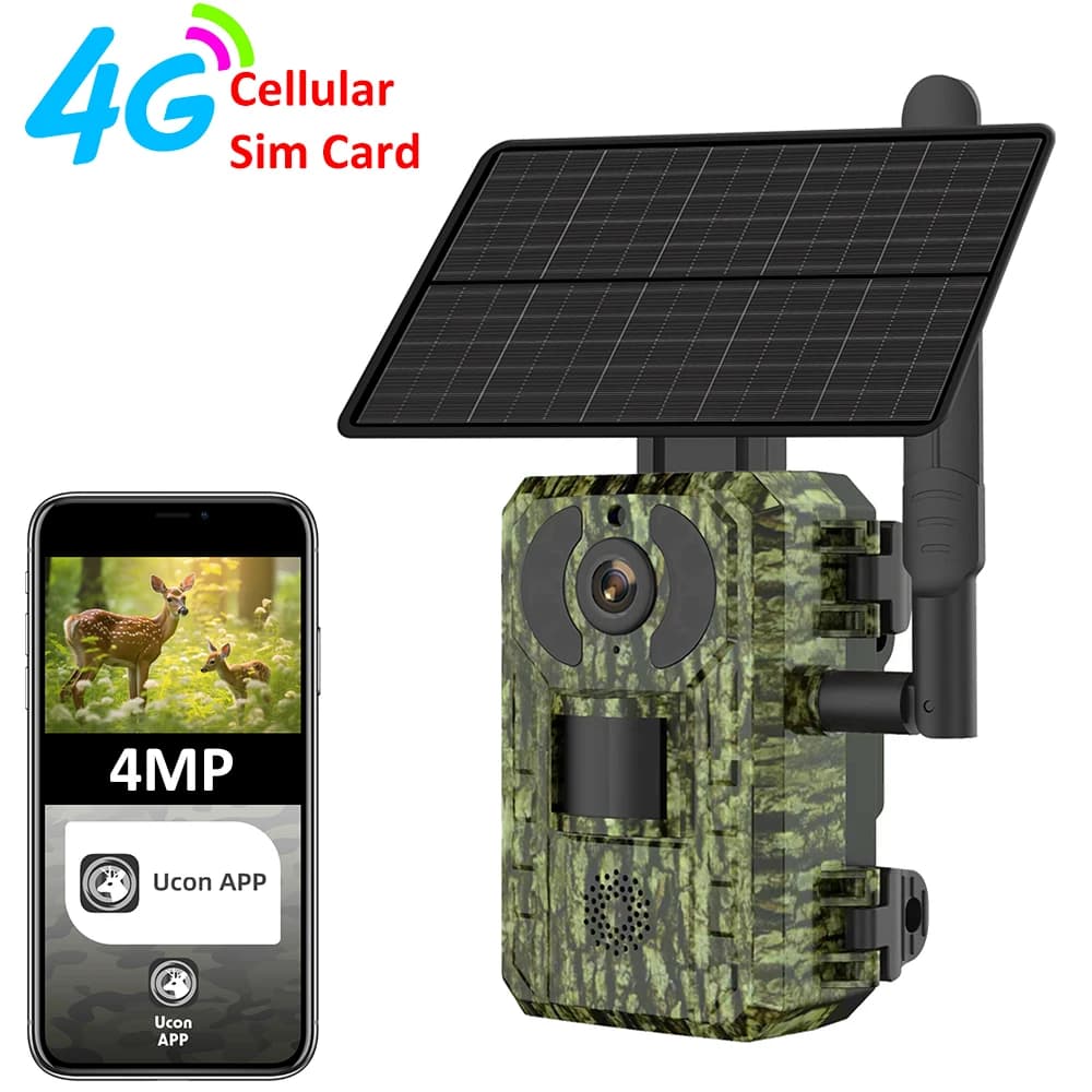 Caméra trail 4G 4MP vision nocturne pour observation faune et repérage zones pêche