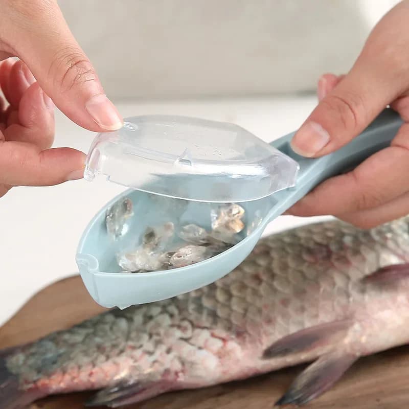 Grattoir à écailles avec couvercle - outil nettoyage poisson cuisine pêche carpe accessoire ménager pratique