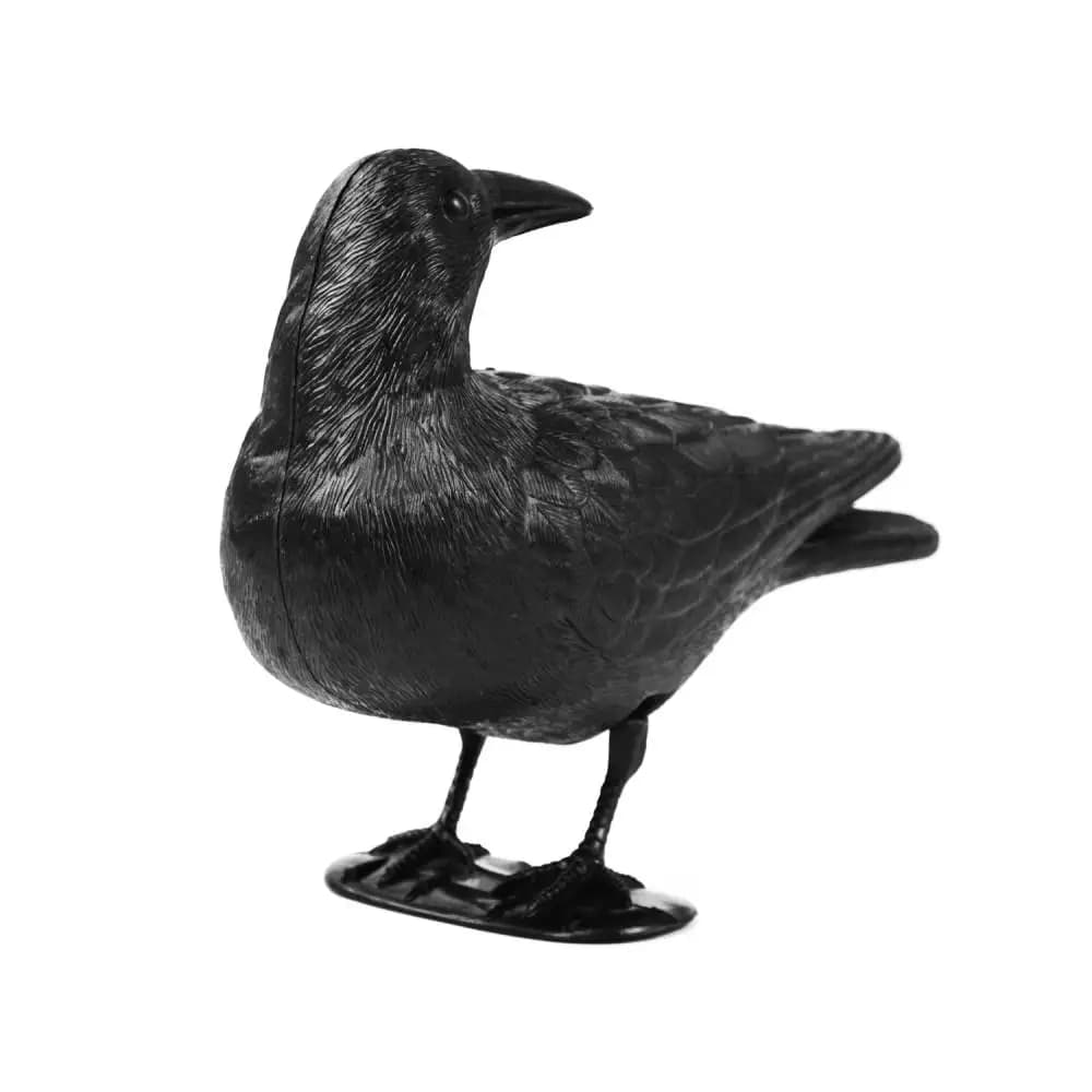 Statue plastique corbeau simulée pour chasse et contrôle des oiseaux - Décor étanche extérieur