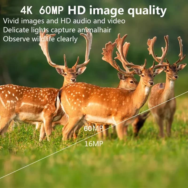 PR4000W caméra trail WiFi 60MP 4K infrarouge vision nocturne étanche piège photo chasse extérieure