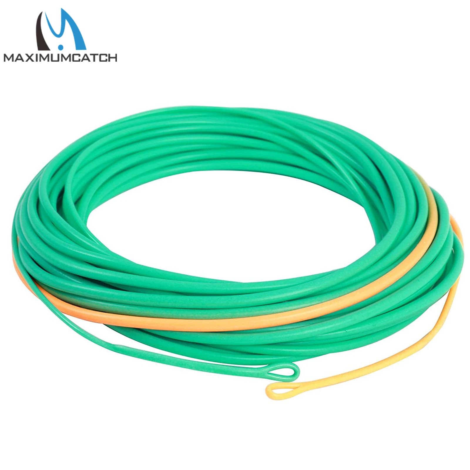 Ligne de pêche à la mouche Skagit flottante double couleur 17-29m 200-650gr avec pointes amovibles
