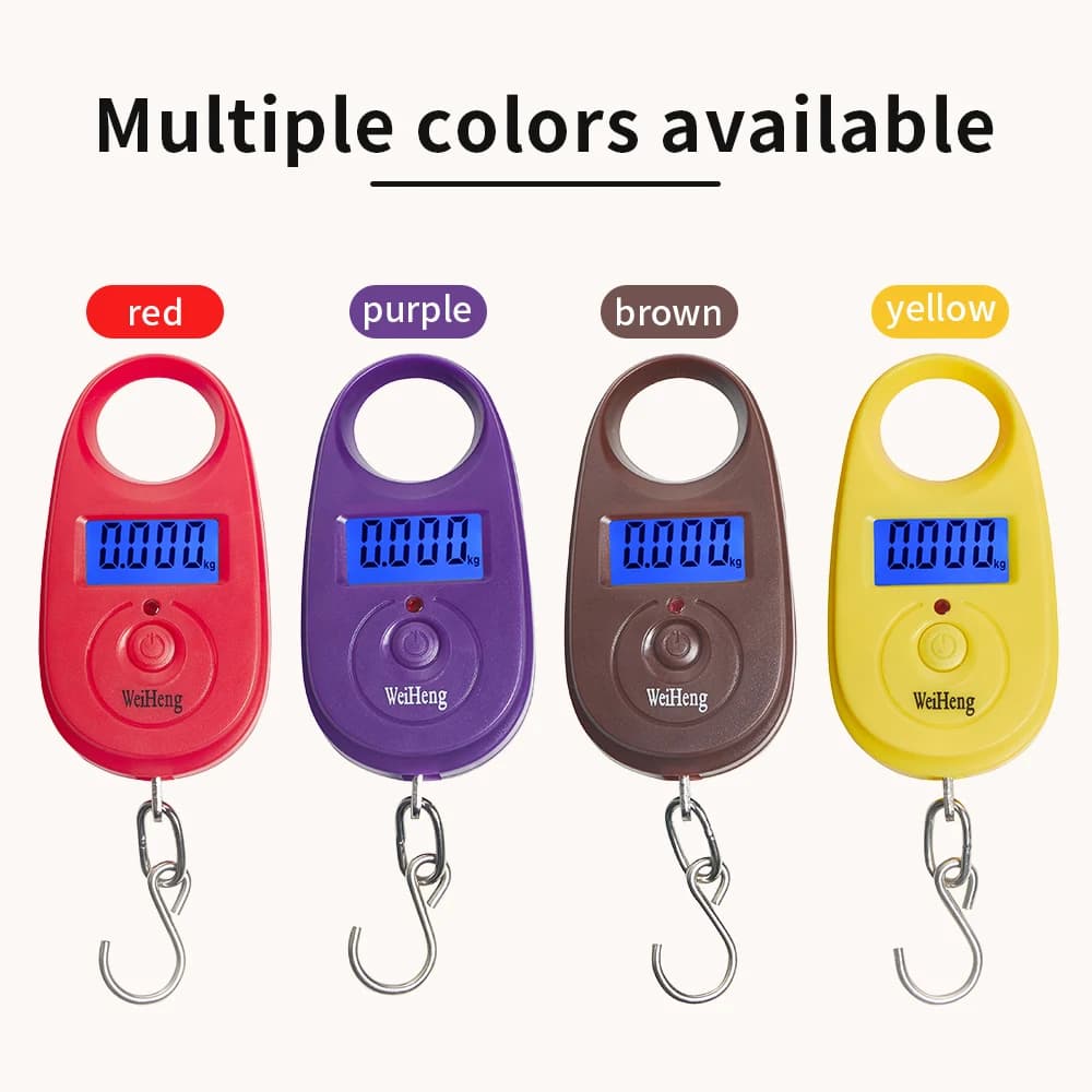 Mini balance numérique 25Kg 5g portable avec crochet pour pêche et bagages