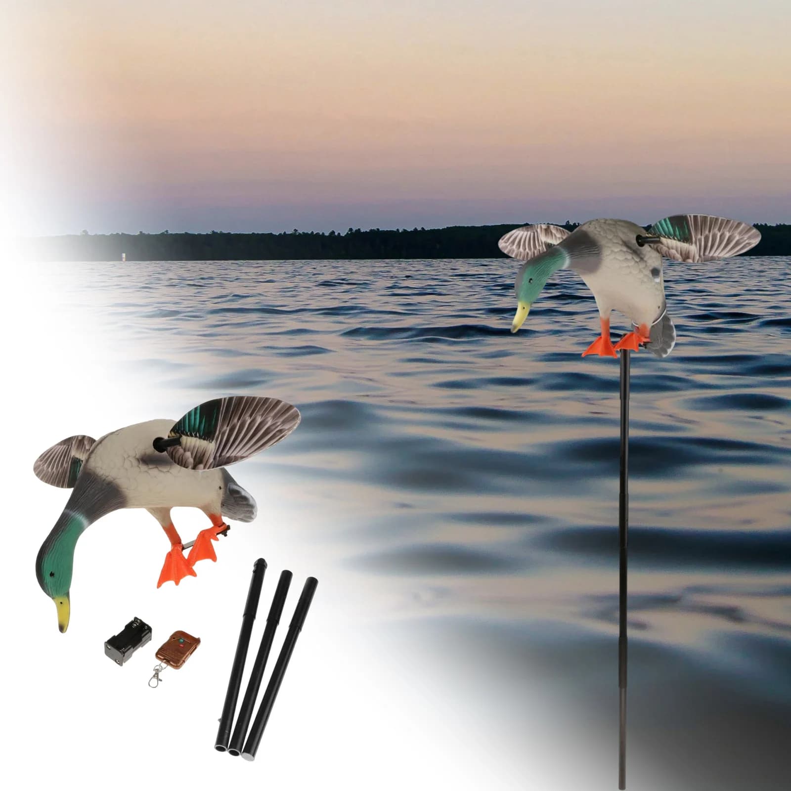 Canard leurre volant télécommandé mallard mâle 3D réaliste chasse extérieure sans batterie